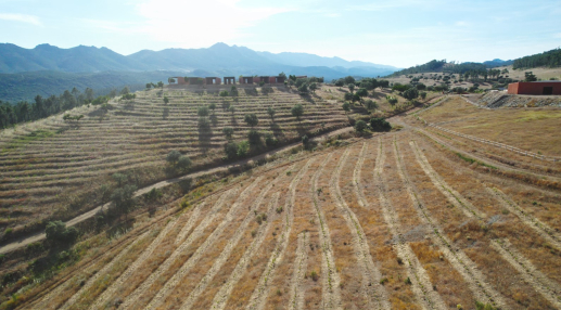 Life Terra carries out its largest Carbon Removal & Biodiversity Credits project in Cáceres